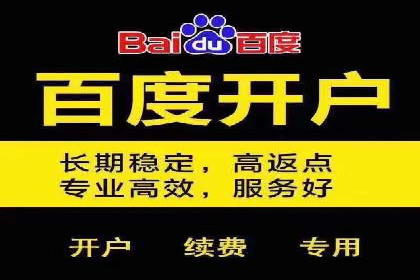 百度竞价包年服务，让企业营销更高效——案例分析